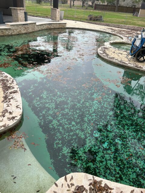 Murky Waters 2 hurricane damaged pool 480x640 1